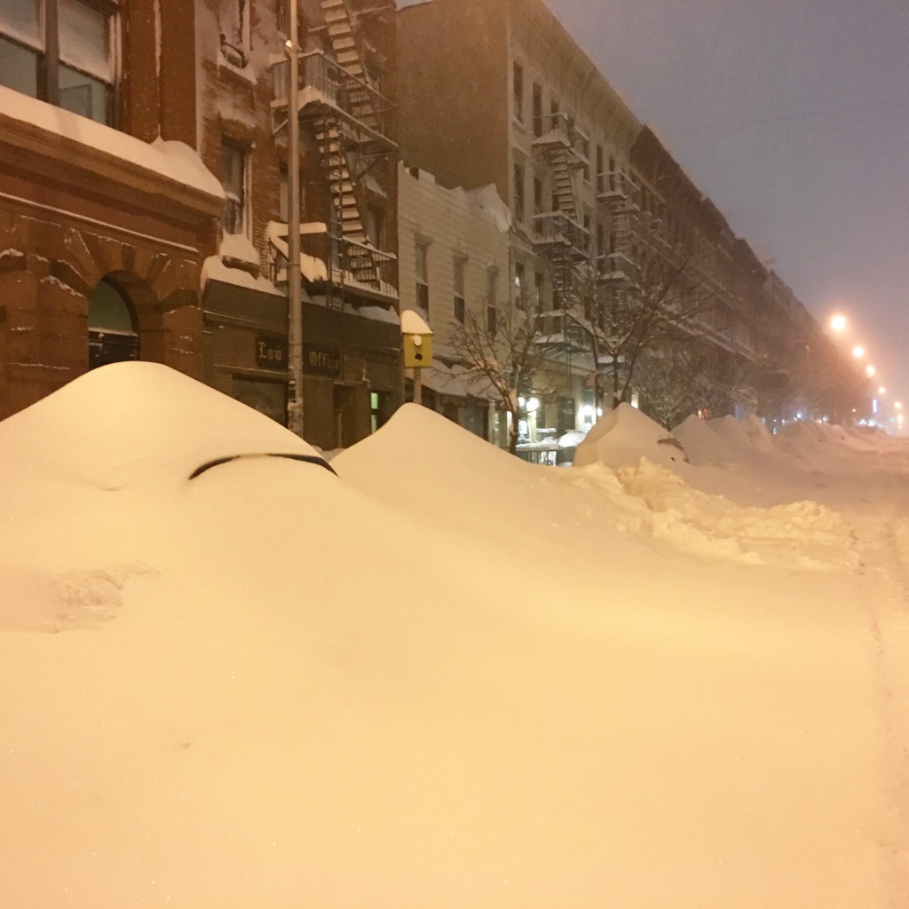 Over 3 feet of snow in 24 hours during the blizzard of 2016 - Brooklyn, NY