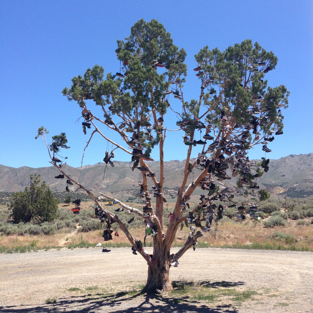 Shoe tree - Hallelujah Junction, CA