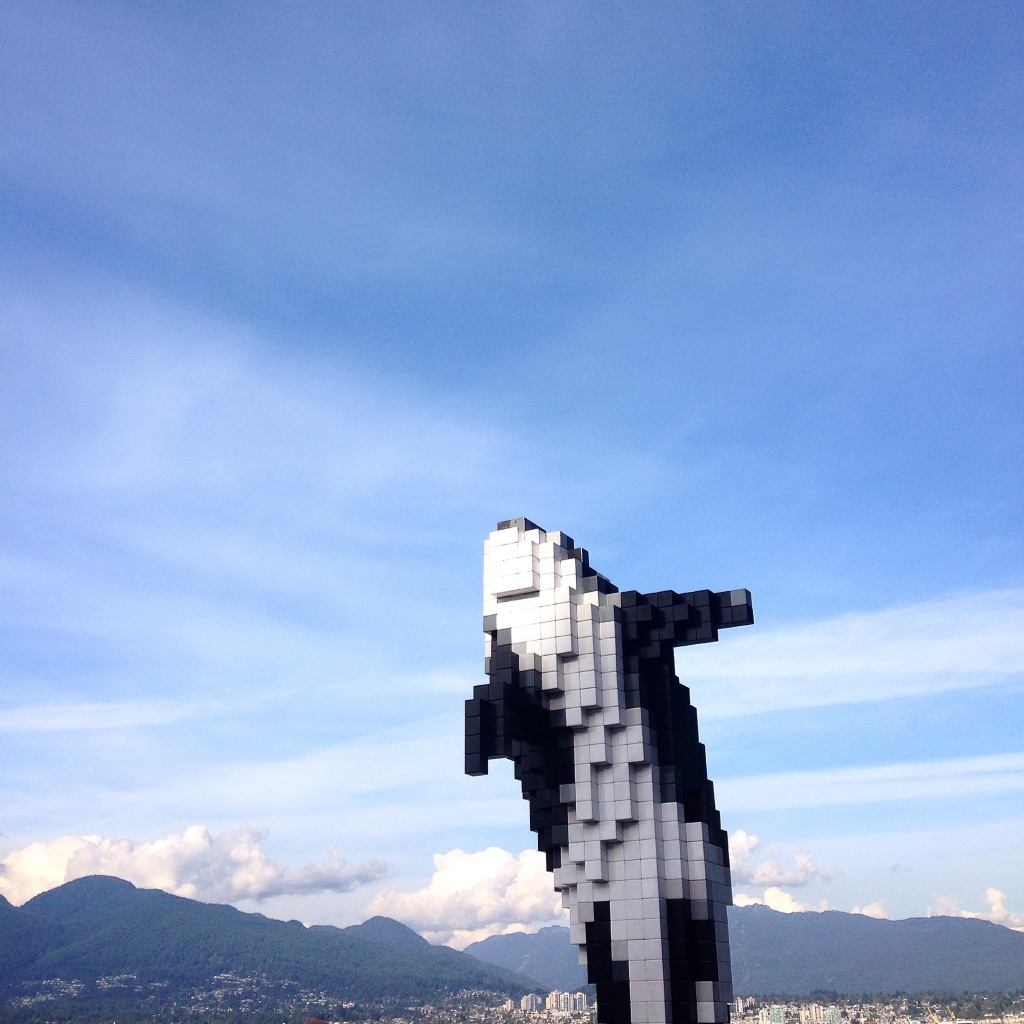 8-bit orca - Vancouver, BC